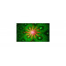 Ibiza Light LAS160P Mini Laser Firefly 160mW